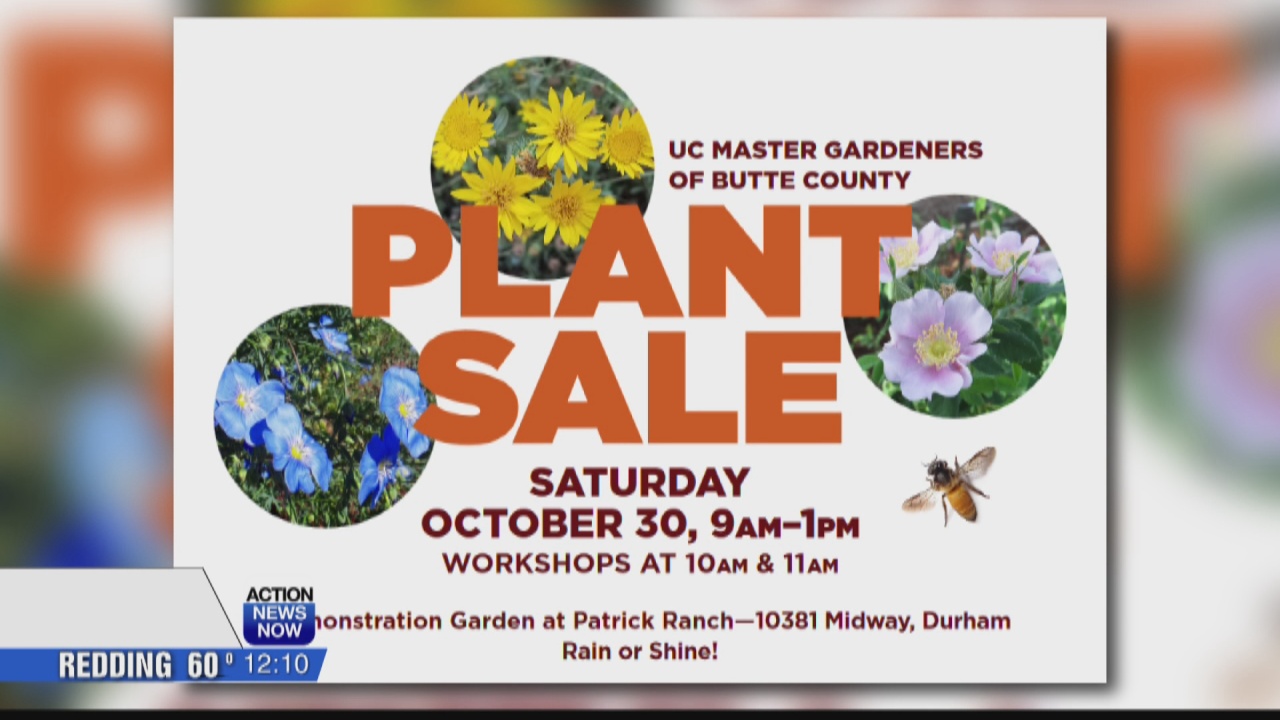 UC Master of Gardners of Butte County hosting Plant Sale Saturday - Vimarsana News