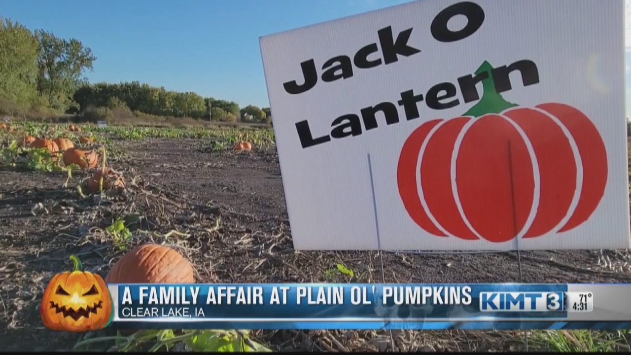 A family affair at Plain Ol' Pumpkins - Vimarsana News