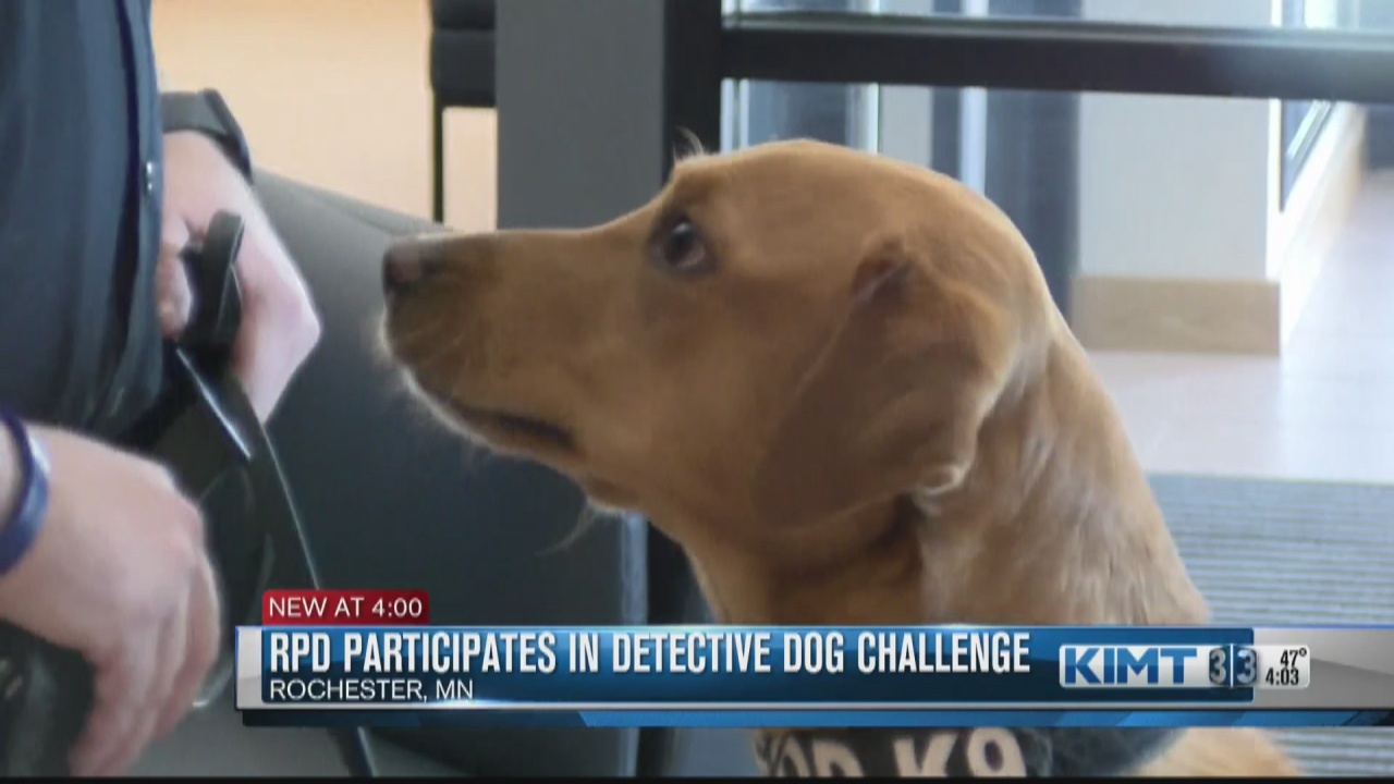 Rochester police dog competes in national Detection Dog Challenge - Vimarsana News