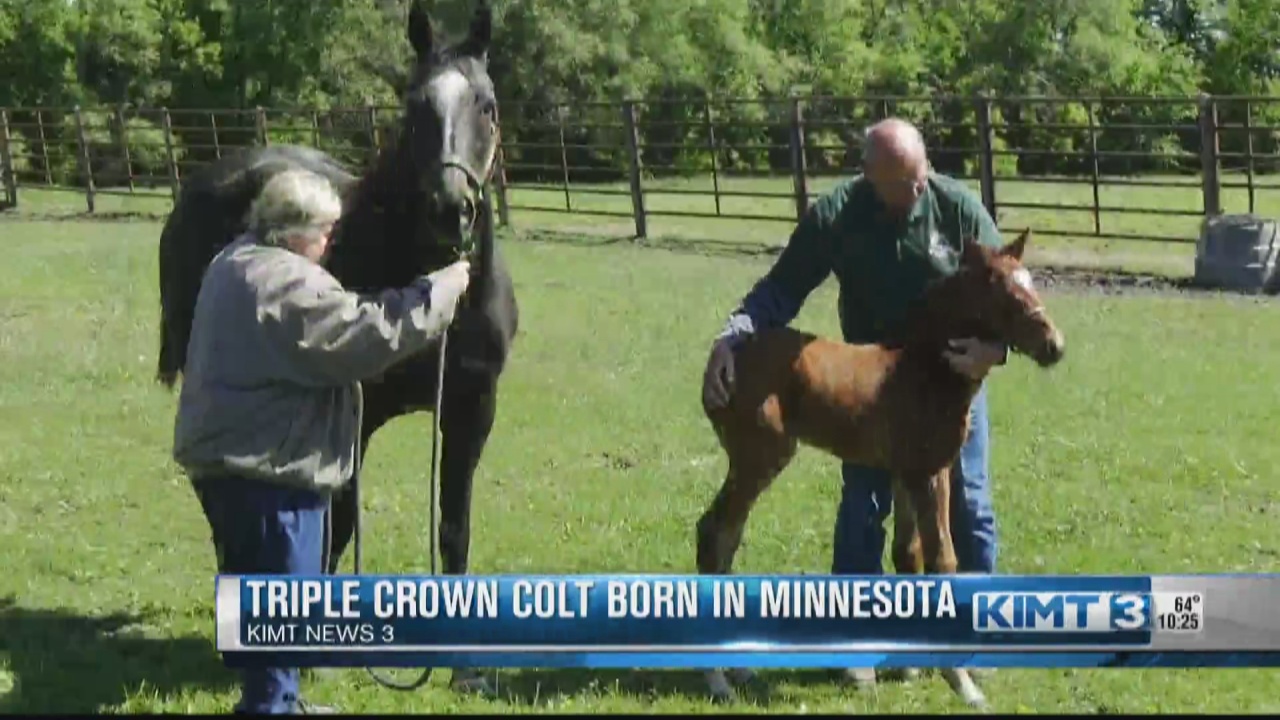 Son of Triple Crown winner born in Minnesota - Vimarsana News