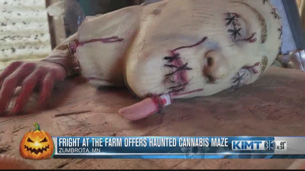 Fright at the Farm offers haunted cannabis maze - Vimarsana News
