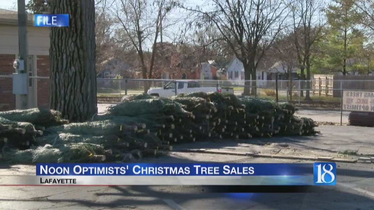 Noon Optimists' Christmas Tree Sale starts this week - Vimarsana News
