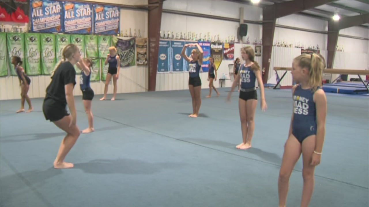 Young gymnasts strive for the gold - Vimarsana News
